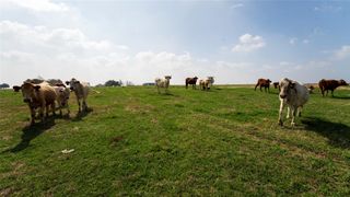 659 County Road 463, Thorndale, TX 76577