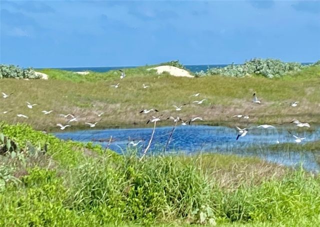 5495 State Highway 361 1009, Port Aransas, TX 78373