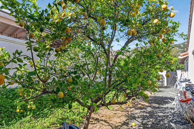 14713 Interlachen Ter, Valley Center, CA 92082