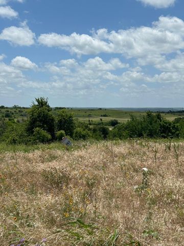 2517 Tom Chaney Drive 103, Cresson, TX 76035