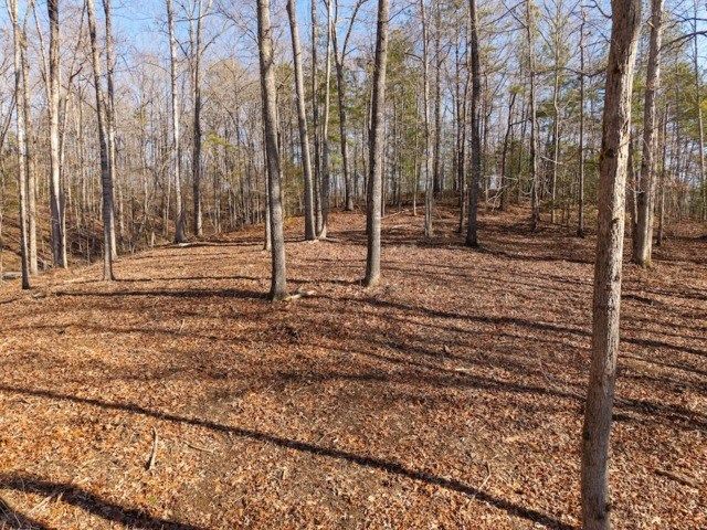 1884 Finale Street, Talking Rock, GA 30175