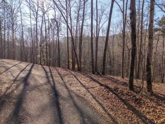 1884 Finale Street, Talking Rock, GA 30175