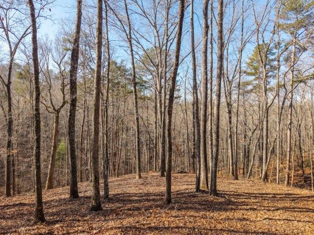 1884 Finale Street, Talking Rock, GA 30175