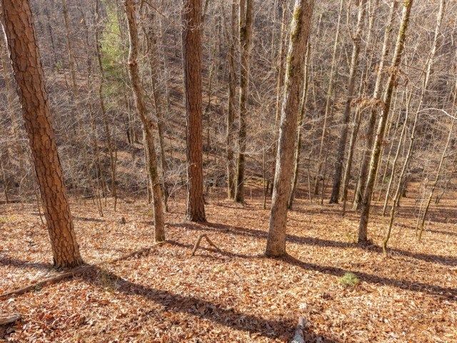 1884 Finale Street, Talking Rock, GA 30175