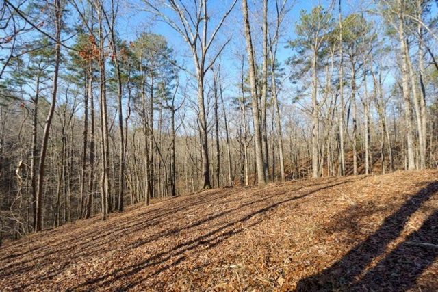 1884 Finale Street, Talking Rock, GA 30175