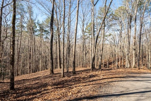 1884 Finale Street, Talking Rock, GA 30175