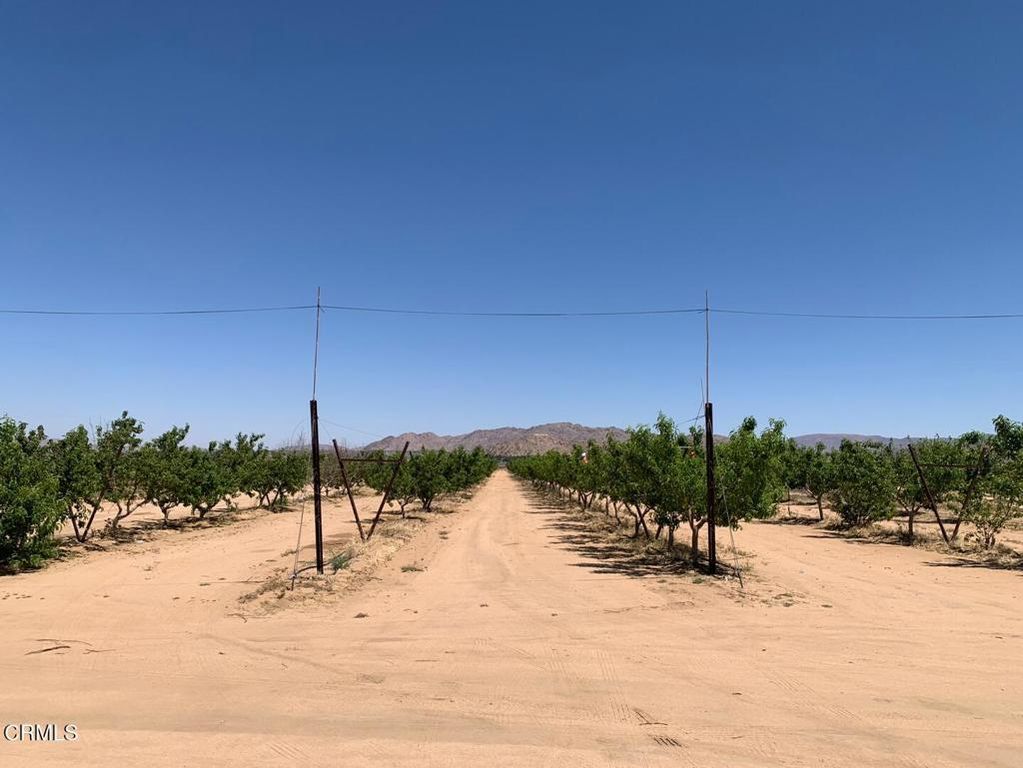 24055 Ottawa Road, Apple Valley, CA 92307
