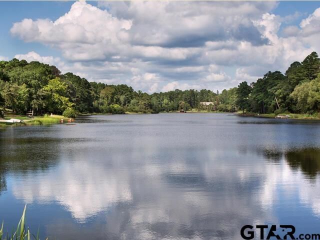 179 Brazos Bnd, Holly Lake Ranch, TX 75765
