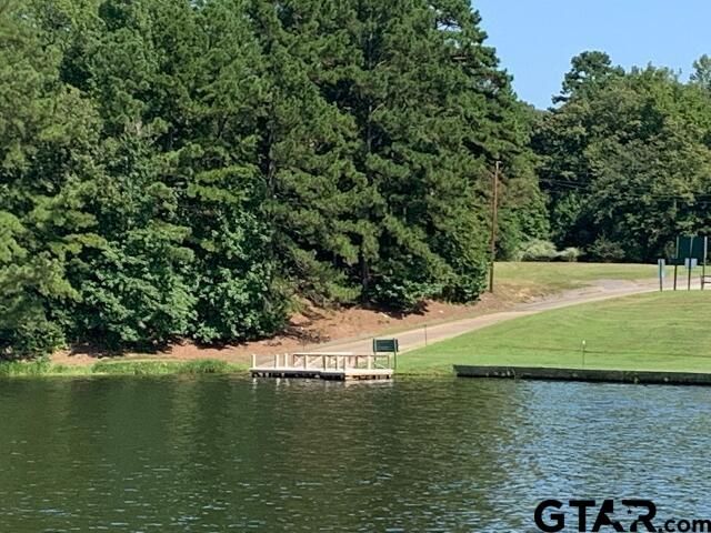 179 Brazos Bnd, Holly Lake Ranch, TX 75765