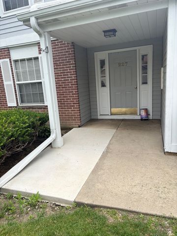 227 Brett Circle D, Wauconda, IL 60084