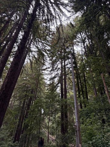 700 Laurel View Road, Los Gatos, CA 95033