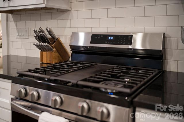 509 Sweet Birch Park Lane, Black Mountain, NC 28711