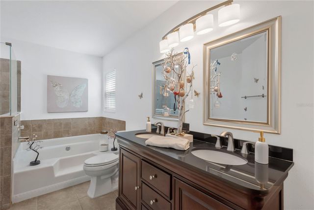 1211 TIMBER TRACE DRIVE, Wesley Chapel, FL 33543