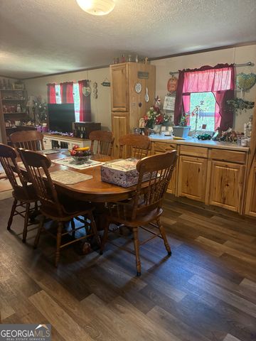 407 Knight Drive, Ellijay, GA 30540