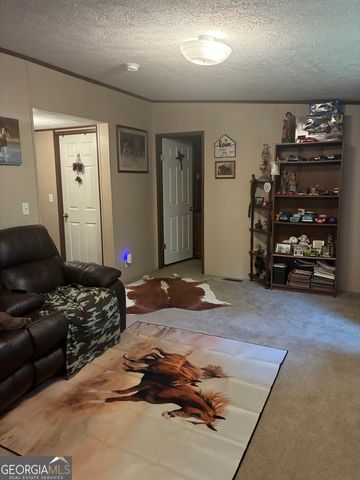 407 Knight Drive, Ellijay, GA 30540