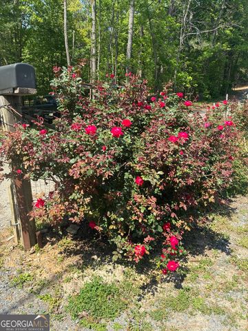 407 Knight Drive, Ellijay, GA 30540