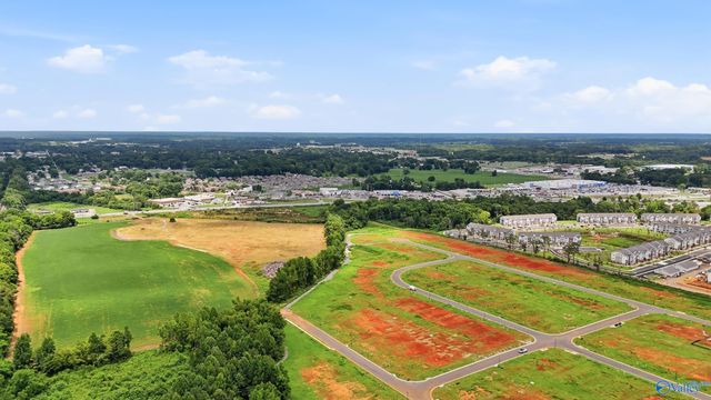 15423 Lapwing Cove, Athens, AL 35611