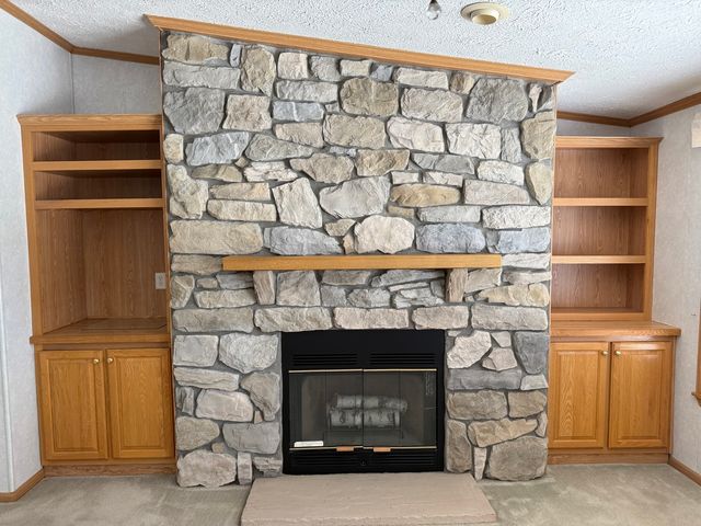 923 Apple Lane, Manteno, IL 60950