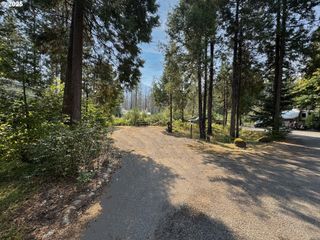 54432 McKenzie Hwy 17, Blue River, OR 97413