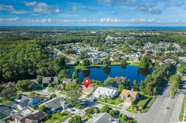 11810 SPANISH LAKE DRIVE, Tampa, FL 33635