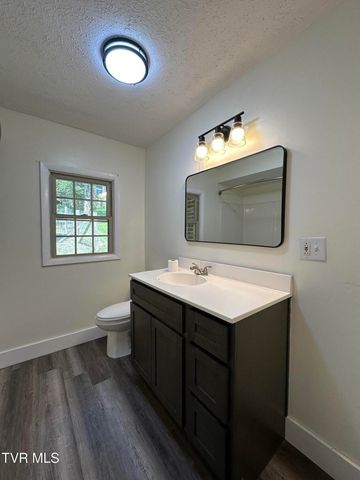 4248 Maplewood Street, Kingsport, TN 37660