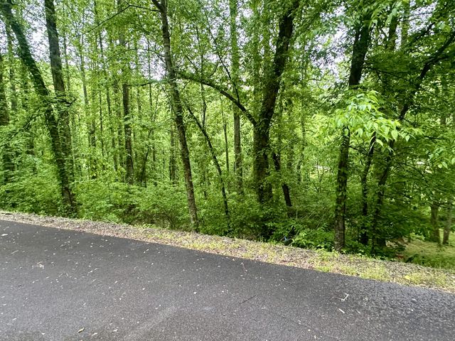 0 Baymont Dr, Lancaster, TN 38569