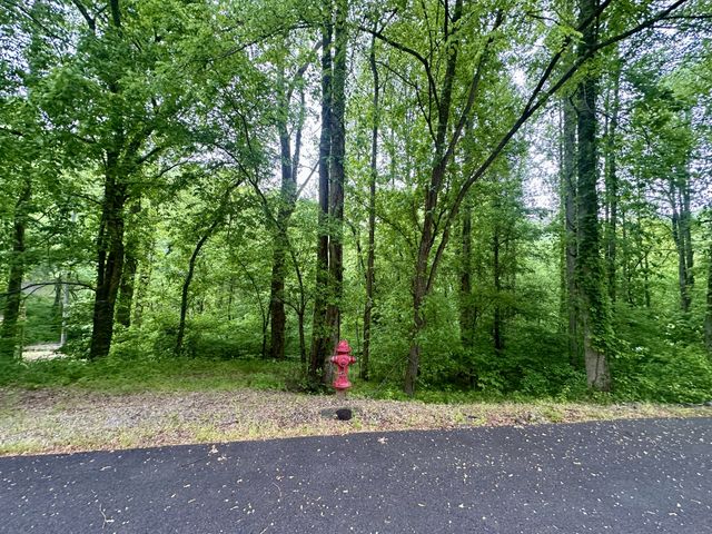 0 Baymont Dr, Lancaster, TN 38569