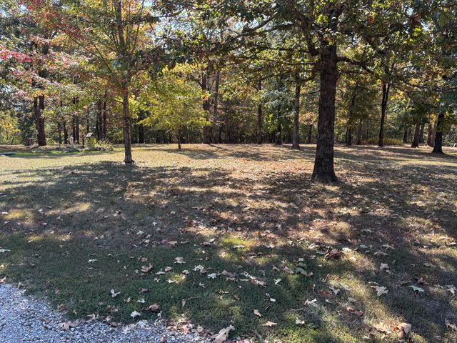 102 Lightning Springs Road, Protem, MO 65733