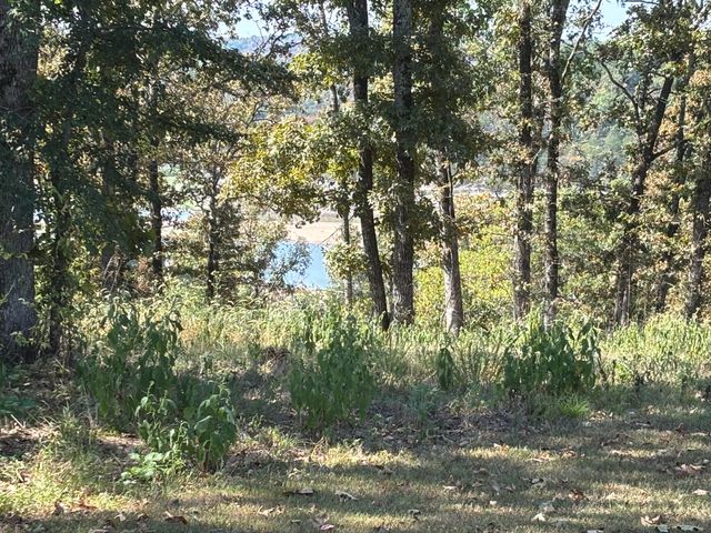 102 Lightning Springs Road, Protem, MO 65733