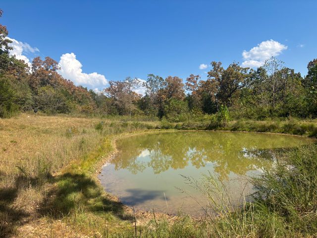 102 Lightning Springs Road, Protem, MO 65733