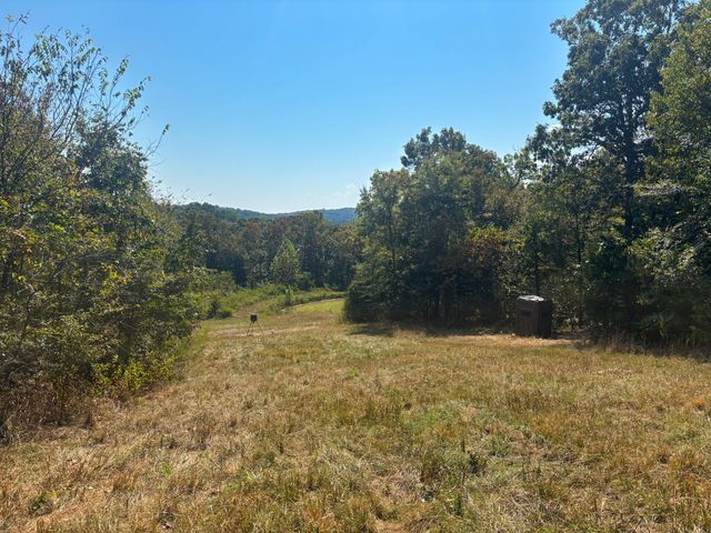 102 Lightning Springs Road, Protem, MO 65733