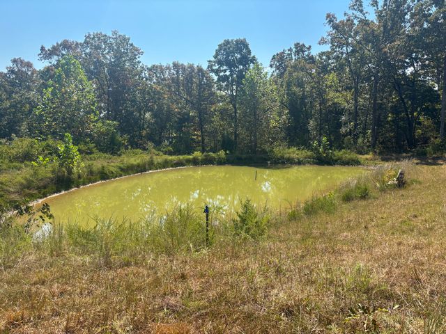 102 Lightning Springs Road, Protem, MO 65733