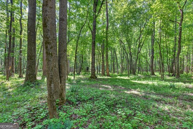 1260 Perryman Road, Buckhead, GA 30625