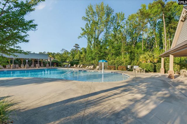 117 Village View Way, Lexington, SC 29072