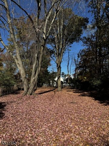 211 E 10th Ave, Roselle Boro, NJ 07203