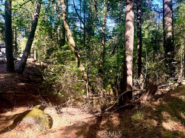 17325 Fernbrook, Middletown, CA 95461