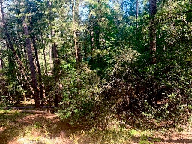 17325 Fernbrook, Middletown, CA 95461