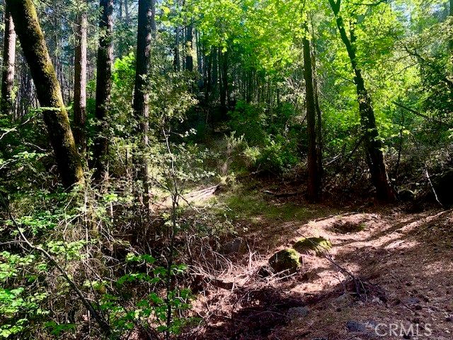 17325 Fernbrook, Middletown, CA 95461