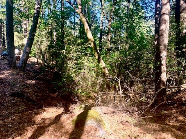 17325 Fernbrook, Middletown, CA 95461