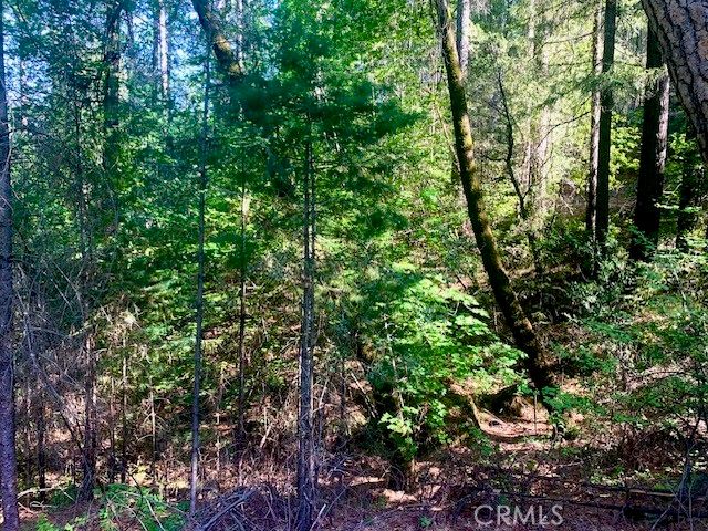 17325 Fernbrook, Middletown, CA 95461