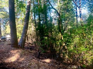 17325 Fernbrook, Middletown, CA 95461