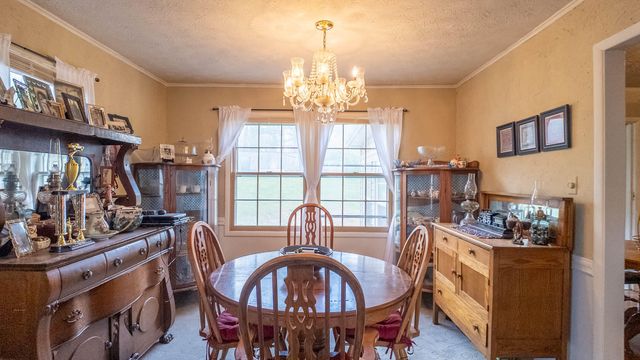 192 Mo 19, Alton, MO 65606