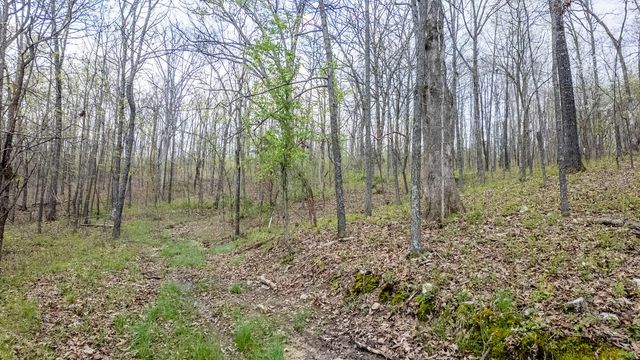 192 Mo 19, Alton, MO 65606