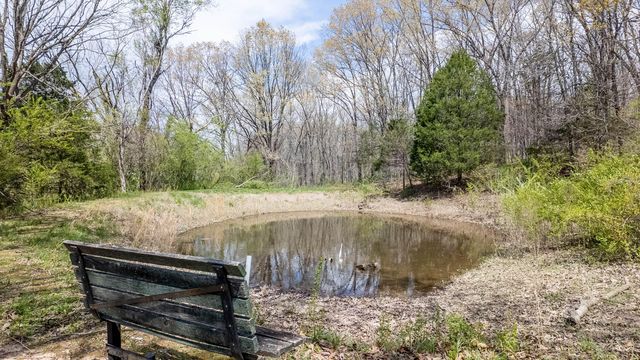 192 Mo 19, Alton, MO 65606