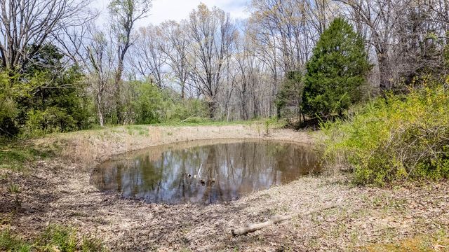 192 Mo 19, Alton, MO 65606