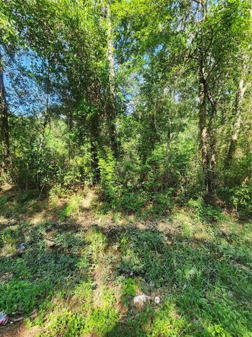 202 Michael Street, Cleveland, TX 77328