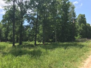TBD Arrowhead Trail, Livingston, TX 77351