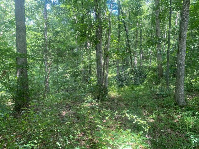 000 S Grider Road, Russell Springs, KY 42642