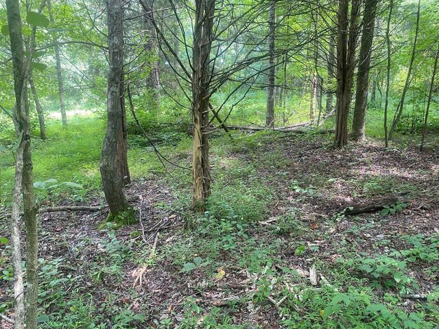 000 S Grider Road, Russell Springs, KY 42642