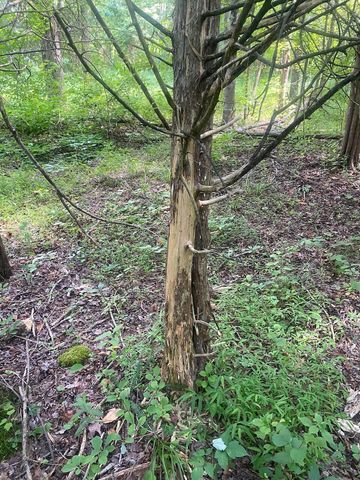 000 S Grider Road, Russell Springs, KY 42642